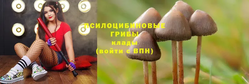 Галлюциногенные грибы Magic Shrooms  Новая Ляля 